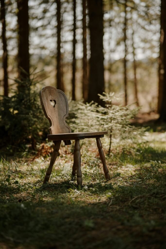 Silla de madera tallada en un claro del bosque
