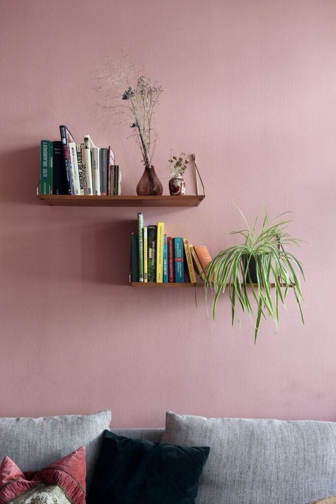 Estantes con libros y una planta sobre una pared rosa