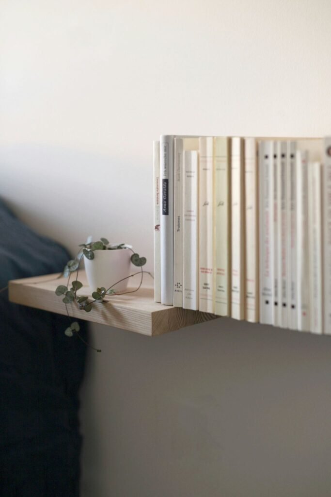 Estante flotante con libros y una planta colgante